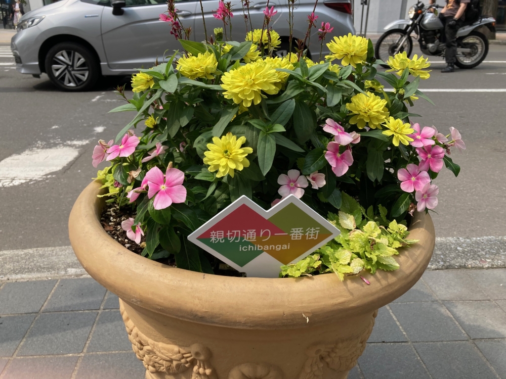 札幌一番街商店街のNEWS